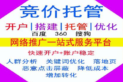 sem代运营公司成功案例：提升网站流量与转化率